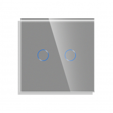 Touch Switch Glass Panel 2-gang, GRAY